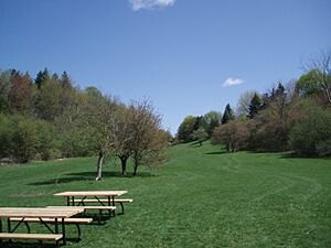 Archivo:GermanMillsSettlersPark2