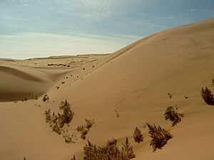 Archivo:Gobi Desert