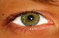Green Eye