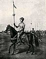 Guerrero Mapuche