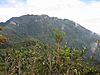 Gunung Tahan. Snapped from Gunung Tangga Lima Belas.jpg