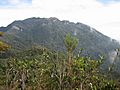 Gunung Tahan. Snapped from Gunung Tangga Lima Belas
