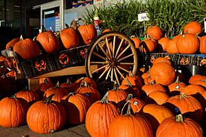 Archivo:HalloweenPumpkin2