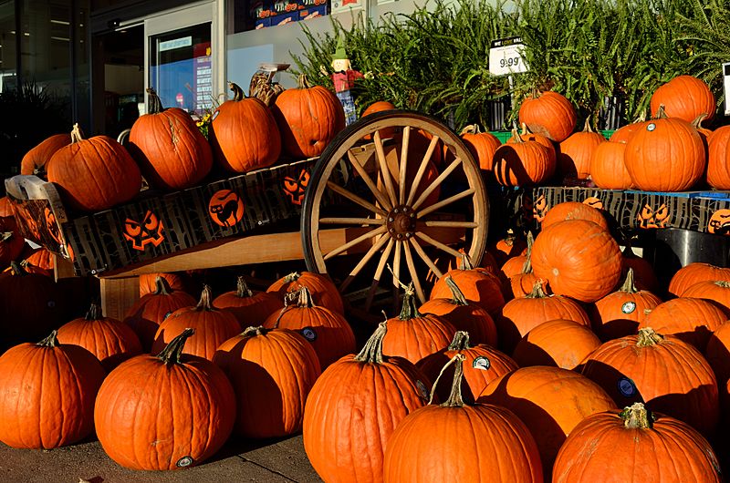 HalloweenPumpkin2