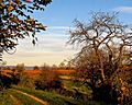 Herbstlandschaft (am Rebhang)