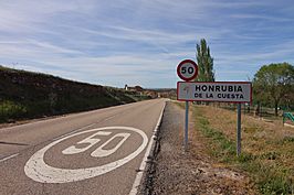 Honrubia de la Cuesta, población desde SG-A-9321.jpg