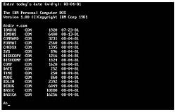 IBM PC DOS 1.0 screenshot.jpg