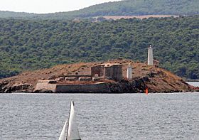 Isla Sargantana (4 de agosto de 2015, Es Mercadal) (cropped).jpg