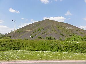 Archivo:Méricourt - Terril n° 97, 4 - 5 Sud de Drocourt (03)