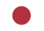 Bandera del Imperio del Japón