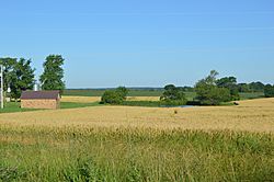 Off 150, wheat fields in Bremen Precinct.jpg