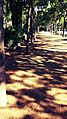 Parc Can Sabate 115