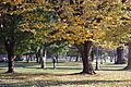 Parque Ecuador