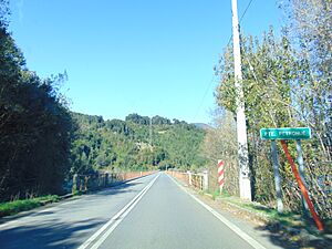 Archivo:Puente Petrohue 2