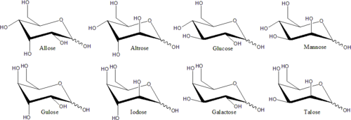 Archivo:Structure of D-hexoses
