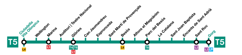 Termómetro T5