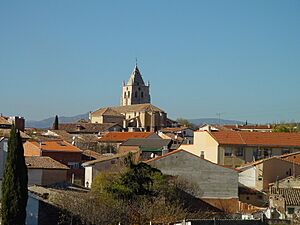 Archivo:Vista de Torrelaguna con la iglesia de la Magdalena al fondo