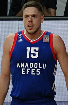 Vladimir Štimac 15 Anadolu Efes 20180204.jpg