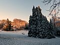 Winter in Breivelde - panoramio
