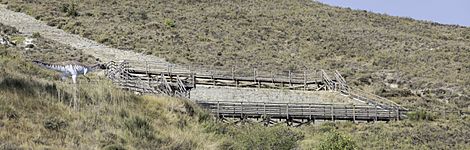 Yacimiento El Peladillo, Igea, La Rioja, España, 2021-08-31, DD 19