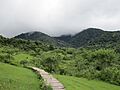 Yungas en Villa San Lorenzo Salta 2
