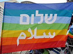 Archivo:2013-03-30 Ostermarsch Hannover vom Kröpcke aus, Regenbogenfahne Frieden Peace hebräisch Schalom arabisch Salam