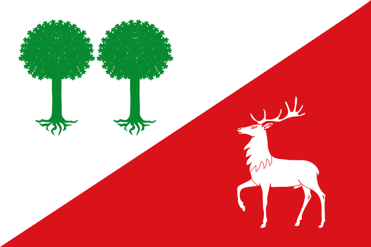Bandera de Robleda-Cervantes