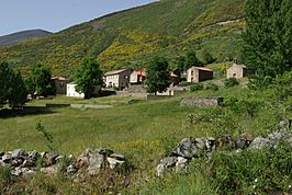 Vista general de Campo