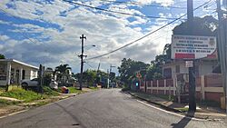 Carretera PR-656, Arecibo, Puerto Rico.jpg