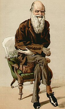 Archivo:Charles Darwin 1871
