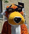 Chester the Cheetah (5879024675) (cropped)