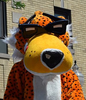 Chester the Cheetah (5879024675) (cropped).jpg