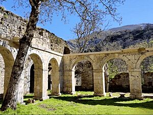 Archivo:Claustro de los arcos del monasterio de San Pedro de Montes