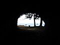 Cueva Patriotas Isla Robinson Crusoe.