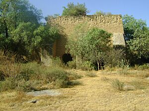 Archivo:El Tajo (Los Hornos)