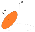 Euler disk mechanics