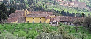 Archivo:Fiesole, villa san girolamo vista da san francesco 02