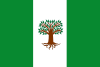 Flag of Pachavita (Boyacá).svg