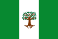 Flag of Pachavita (Boyacá)
