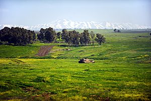 Archivo:Flickr - Israel Defense Forces - The Golan Heights