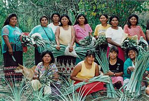Archivo:Indigenas Ayoreos