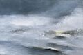 Ingo Kühl "Gletscher (Beagle Kanal)" 2005