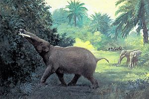 Archivo:Knight Gomphotherium