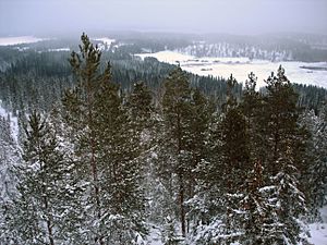 Archivo:Landscape of Korpilahti