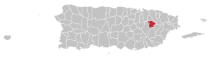 Locator-map-Puerto-Rico-Gurabo.svg