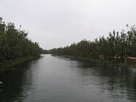 LoddonRiverBridgewater.JPG