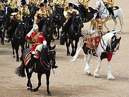 Archivo:Massed Mounted Band, Trooping the Colour, 16 June 2007