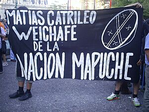 Archivo:Matias Catrileo cartel protesta