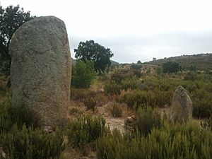 Archivo:Menhir de la Murtra