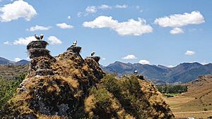 Mirador de las cigüeñas.jpg
